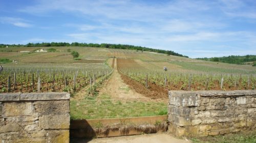 ロマネコンティの基本情報