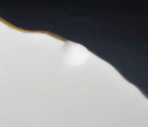 ロイヤルウースター