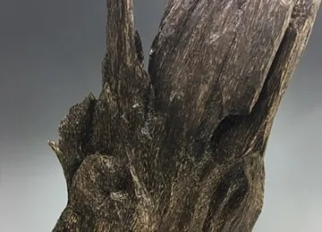 査定ポイント1.状態の確認